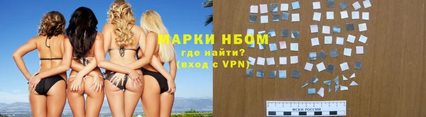 стаф Верея