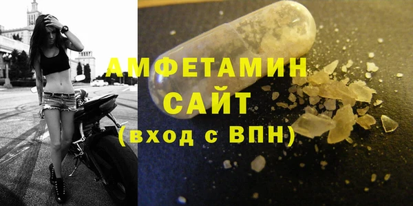стаф Верея