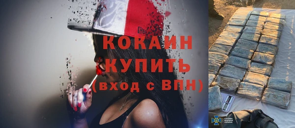 стаф Верея