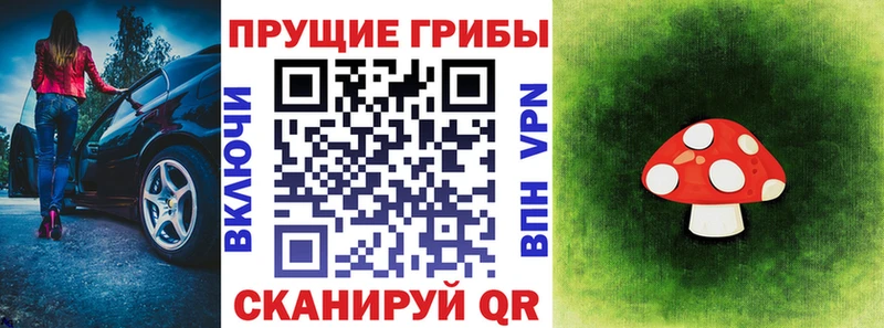 Псилоцибиновые грибы ЛСД  Купить где  Пучеж 